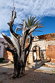 Monastery of Arkadhi, the bullet tree, a bullet in the dead bark is the witness of the great battle of 1866.